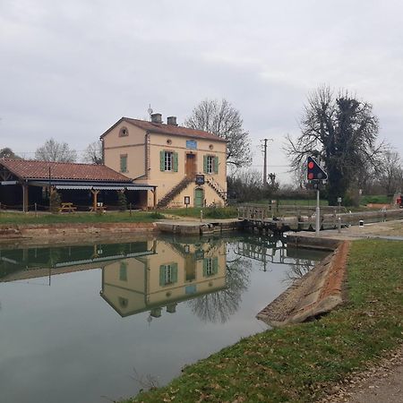 Maison De Famille Avec Parc Arbore Montauban Zewnętrze zdjęcie