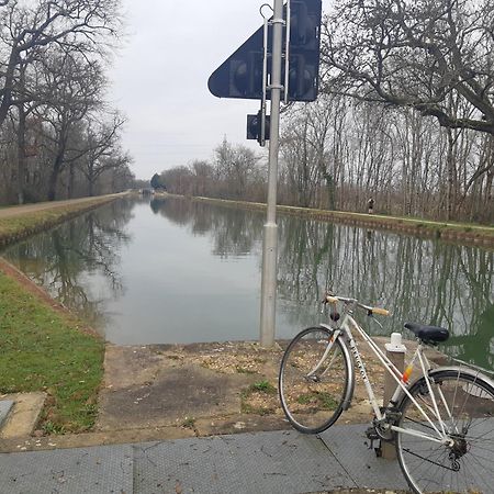 Maison De Famille Avec Parc Arbore Montauban Zewnętrze zdjęcie