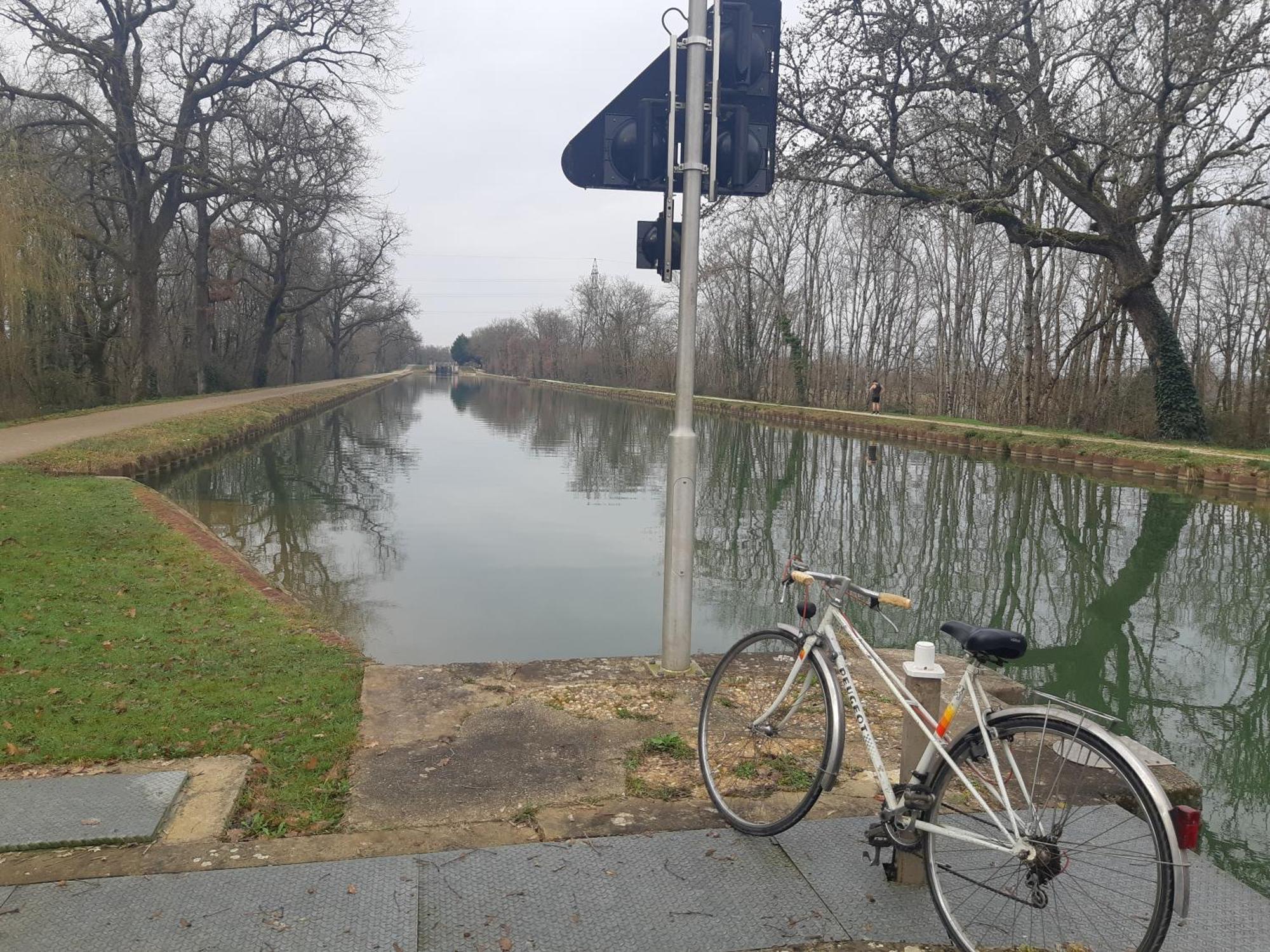 Maison De Famille Avec Parc Arbore Montauban Zewnętrze zdjęcie