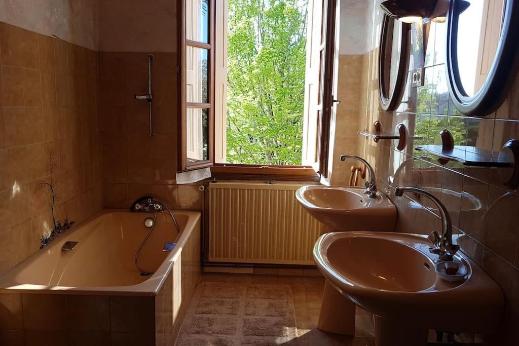 Maison De Famille Avec Parc Arbore Montauban Zewnętrze zdjęcie