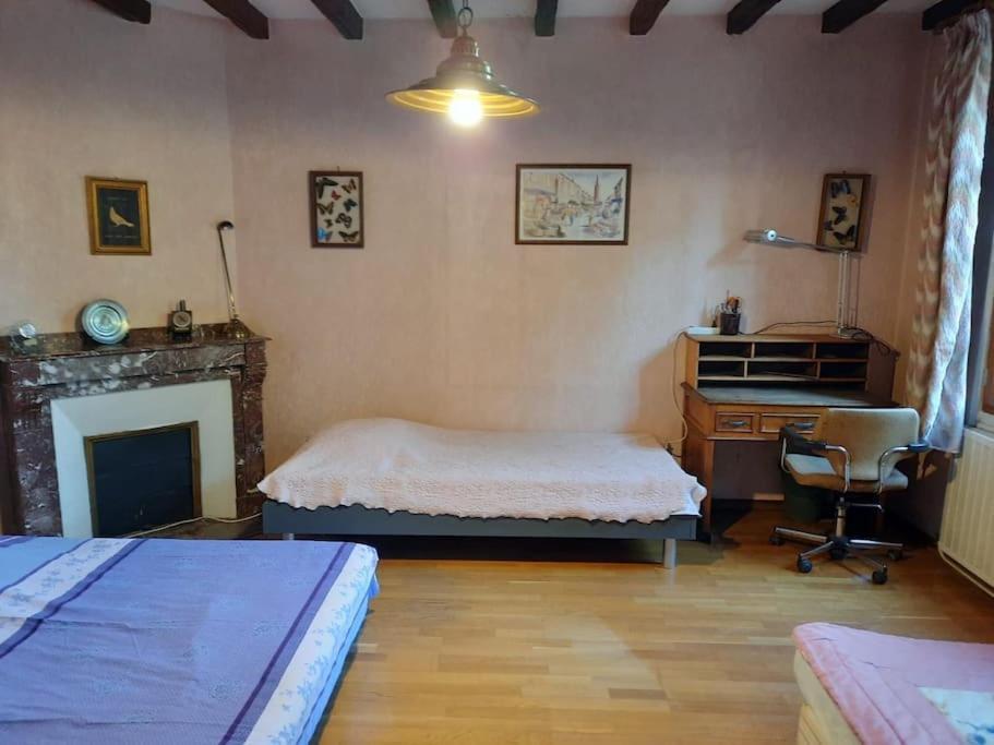 Maison De Famille Avec Parc Arbore Montauban Zewnętrze zdjęcie