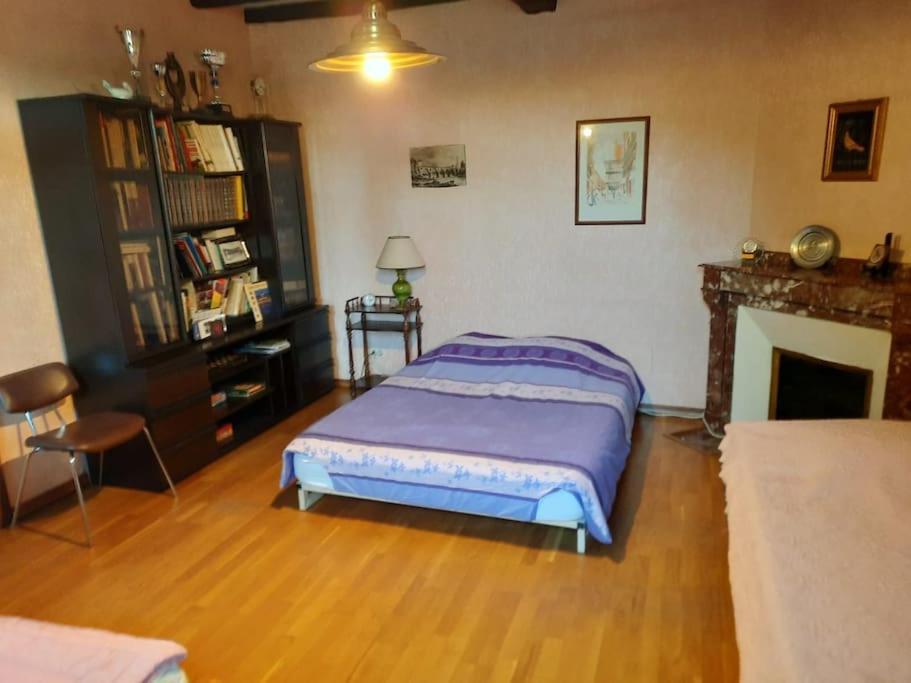 Maison De Famille Avec Parc Arbore Montauban Zewnętrze zdjęcie