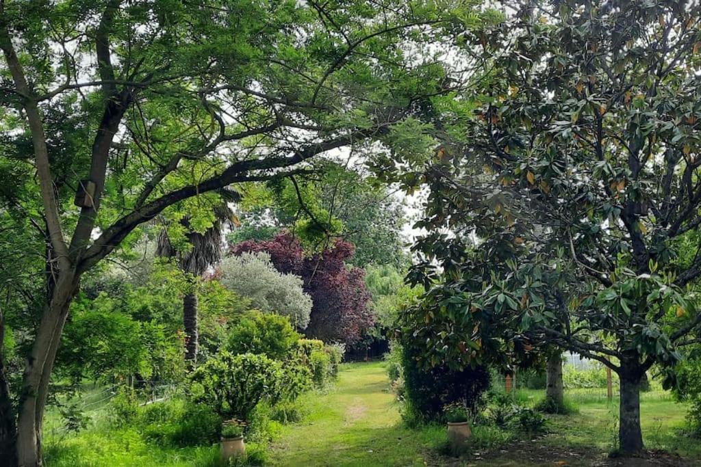 Maison De Famille Avec Parc Arbore Montauban Zewnętrze zdjęcie