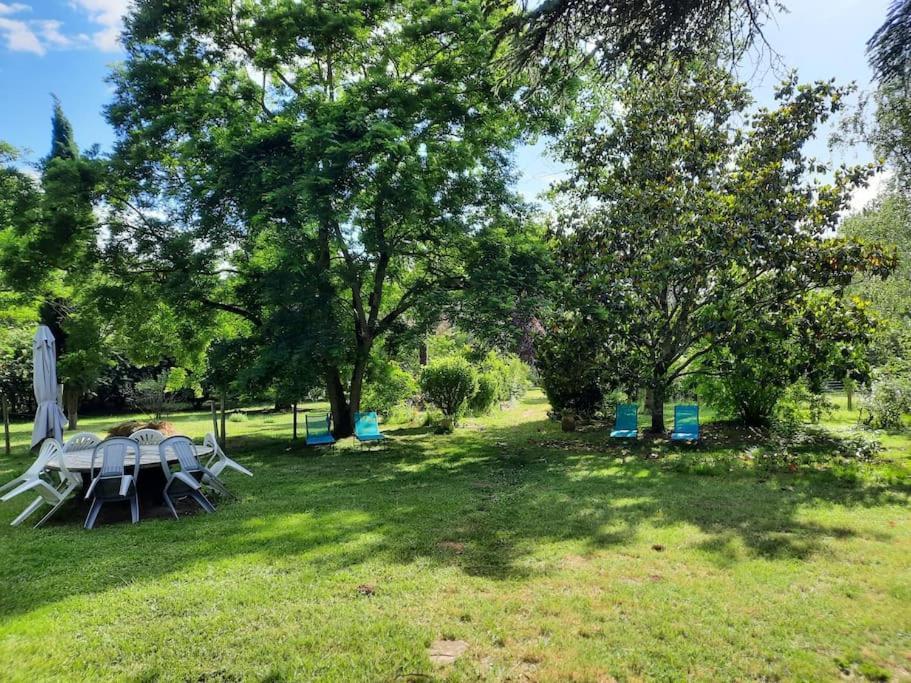 Maison De Famille Avec Parc Arbore Montauban Zewnętrze zdjęcie